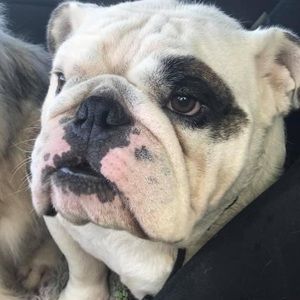 Meet your Posher, Joann